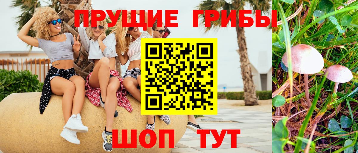 Псилоцибиновые грибы Magic Shrooms  Вход с VPN  Галлюциногенные грибы Psilocybine cubensis  магазин продажи   Баксан 