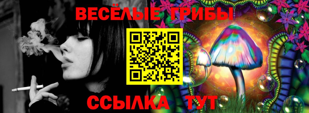 Галлюциногенные грибы Magic Shrooms Баксан